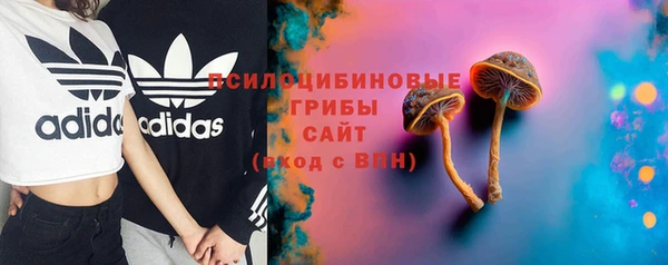 Альфа ПВП Белокуриха
