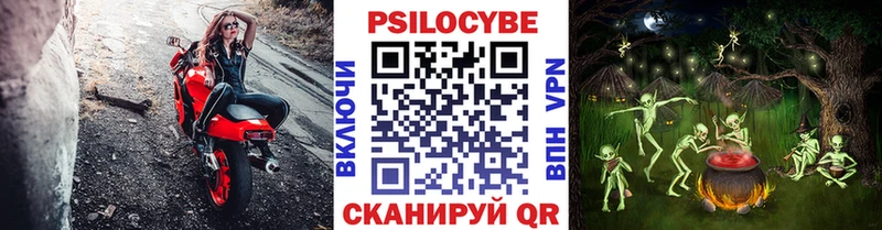 Галлюциногенные грибы прущие грибы  Озёры 